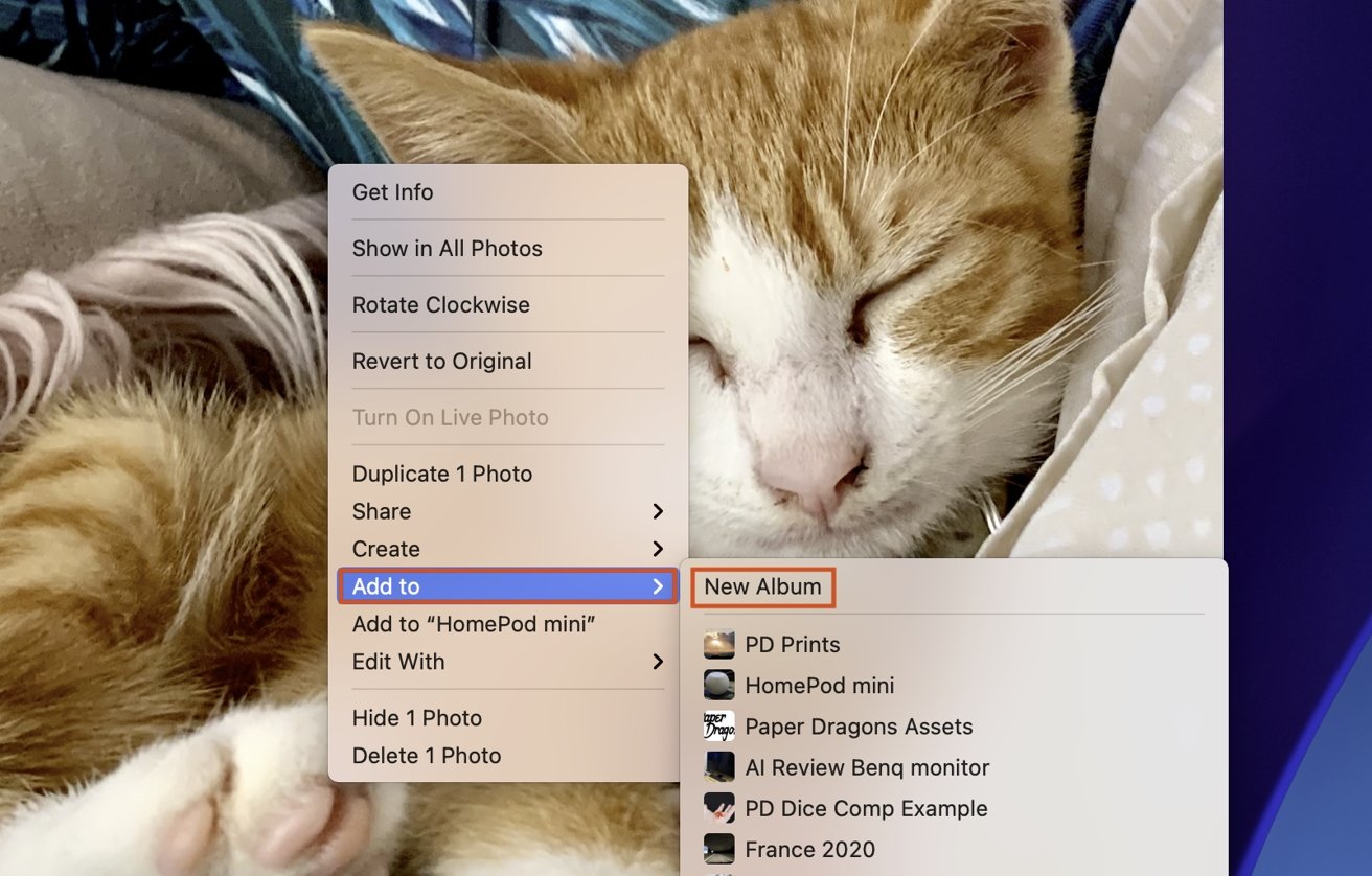 You can easily add an image to an album in Photos by right-clicking it. 