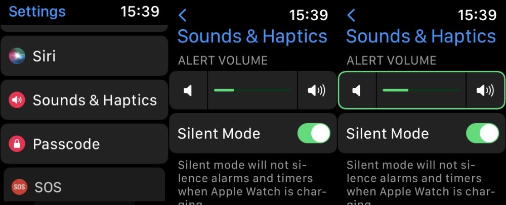 Tap on the Alert Volume slider, then use Digital Crown to lower, or raise, the volume