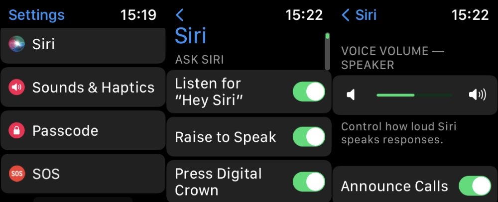 How to turn down siri voice on apple watch sale