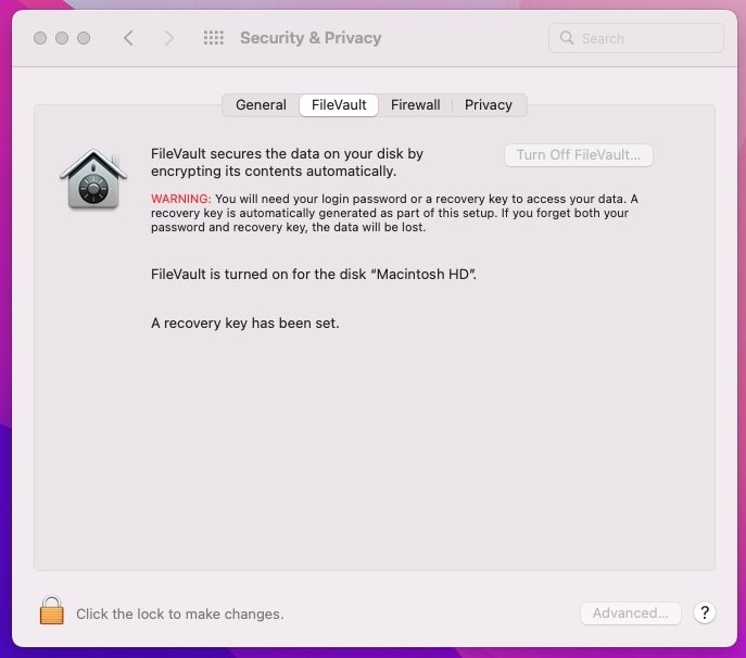 You should enable FileVault to encrypt your Mac's files.