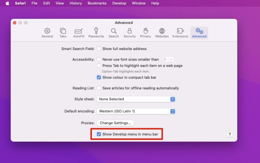 On the Mac, you'll need Safari to show you the normally hidden Develop menu