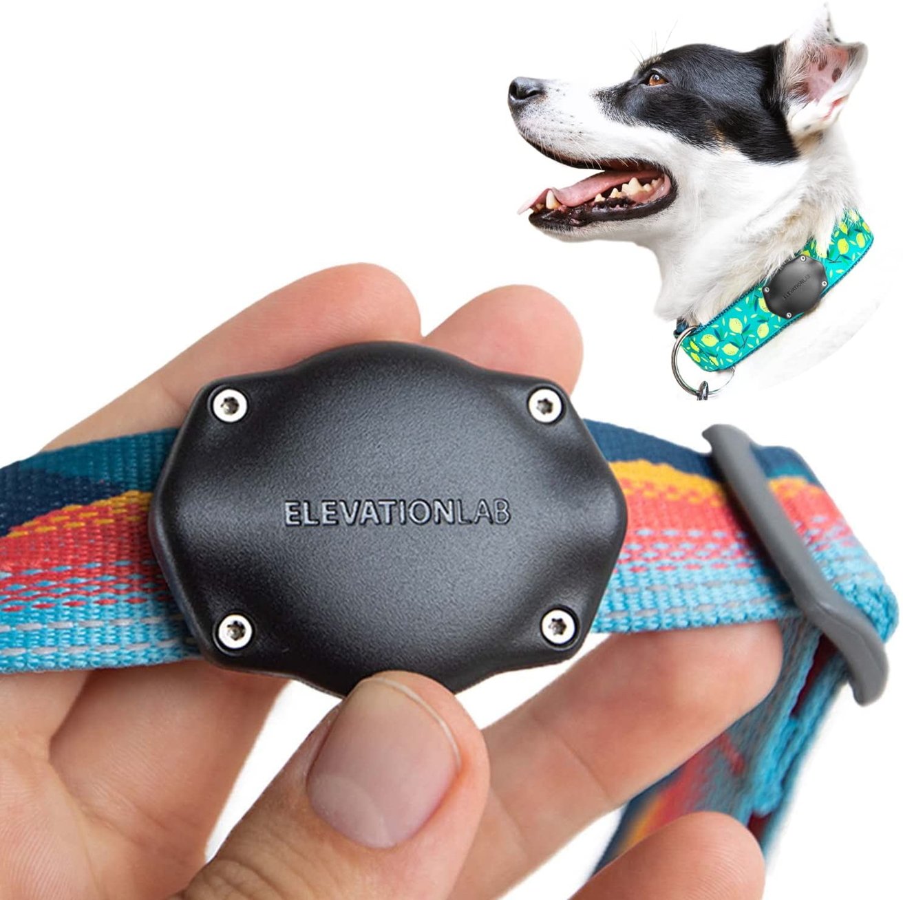 Keep tabs on your pet with an option like this, which is a case that slides onto a collar.
