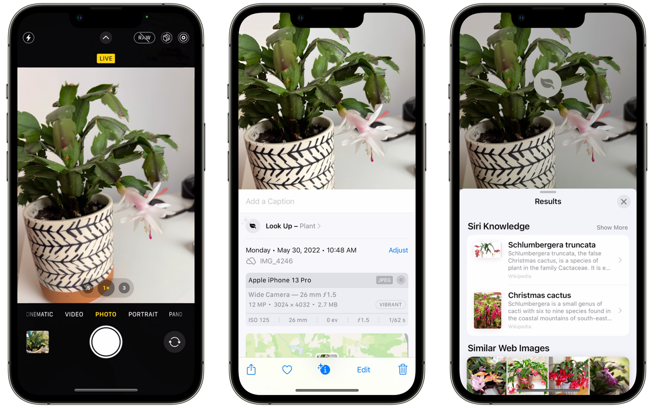 how to identify plants and flowers with your iphone camera