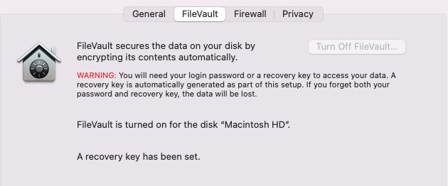 FileVault, Mac sürücünüzün içeriğini şifrelemenize olanak tanır.