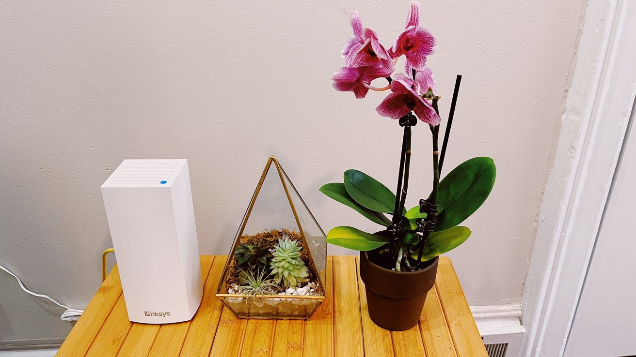 photo of Atlas 6 Dual-Band mesh review: a beginner-friendly way to add mesh networking to your home image
