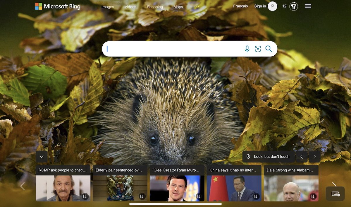 Bing's page is equal parts great photos and confusing clutter.