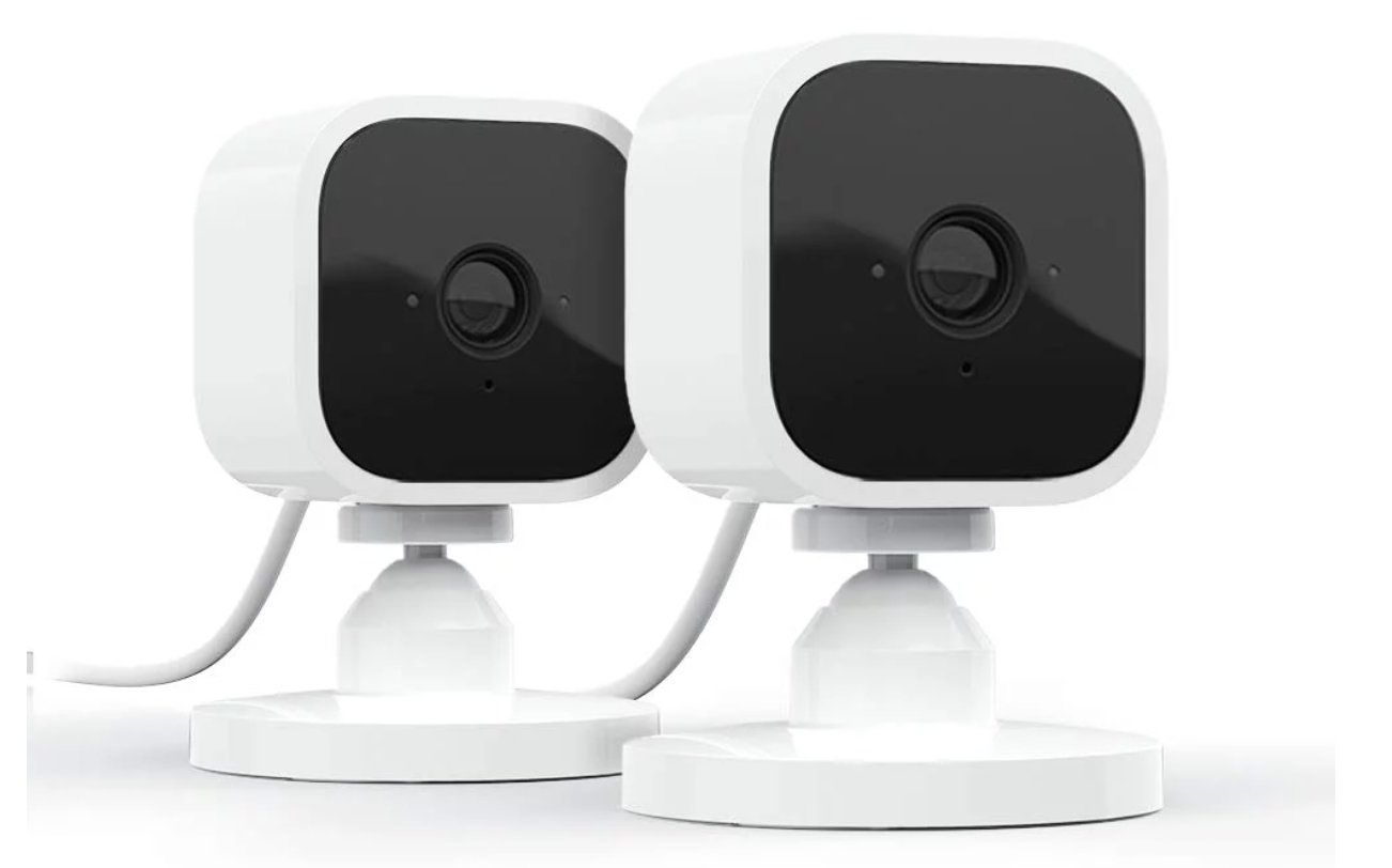 The Blink Mini (two cameras)