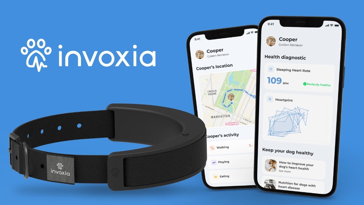 Invoxia announces smart dog collar to track heart activity