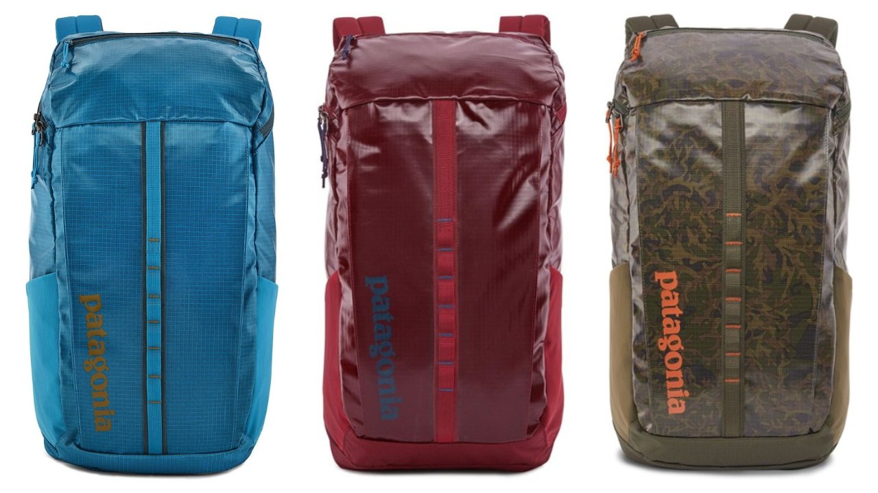 Patagonia Black Hole Travel Pack 