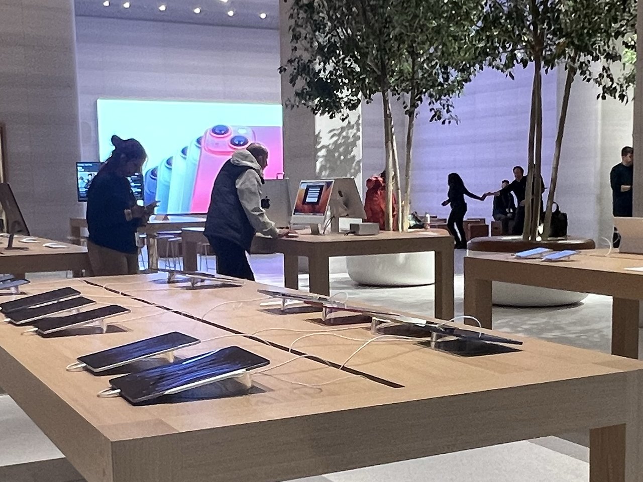 There are 17 regular Apple Store tables in amongst the trees