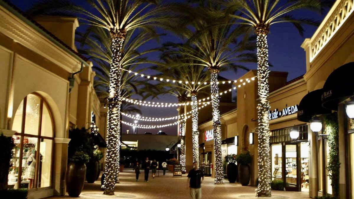 With palm trees glittering with string lights, the Spectrum Center is gorgeous to visit at night