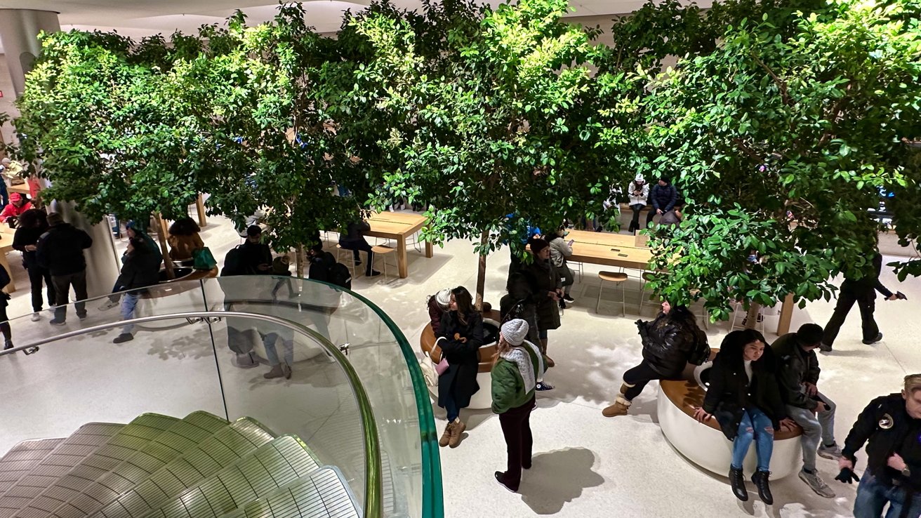 Indoor trees that visitors can sit around and under