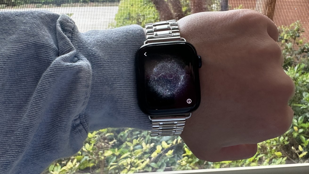 WsC Fury Silver Apple Watch Strap — прекрасный выбор на каждый день