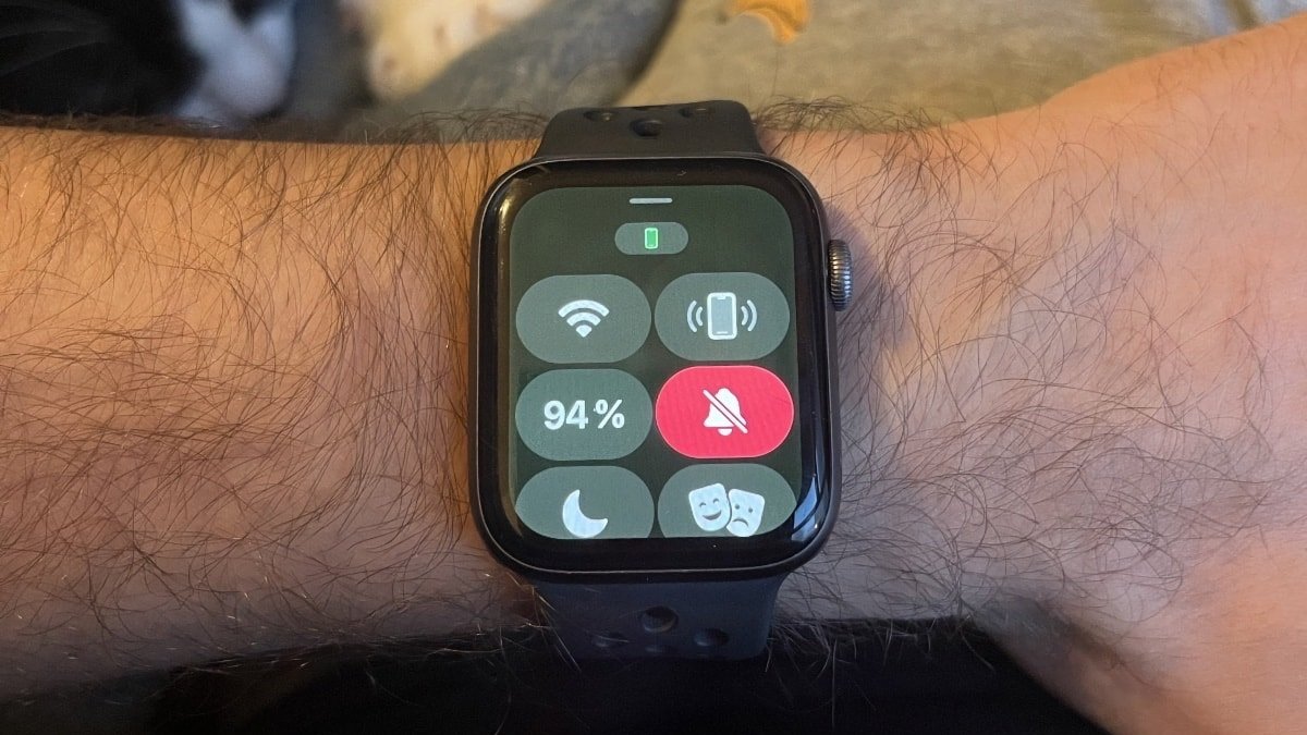 Apple Watch users report screen discoloration in watchOS 9.5