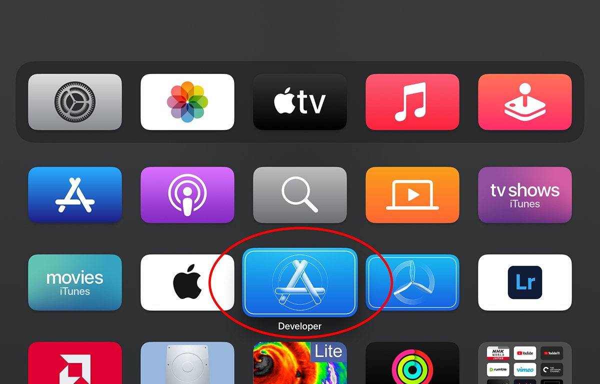 Open the Developer app by navigating to it with your Apple TV remote and pressing the button.