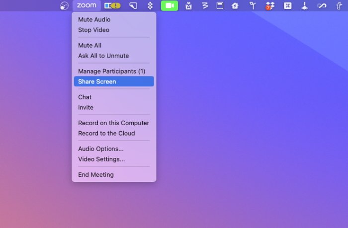 As well as Zoom's Share Screen option, note the green highlighted camera icon in the menubar.
