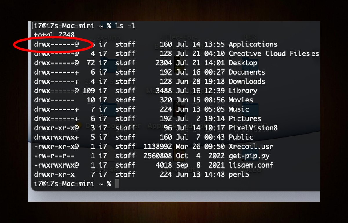 Listing using ls -l to list folder contents in macOS's Terminal app.
