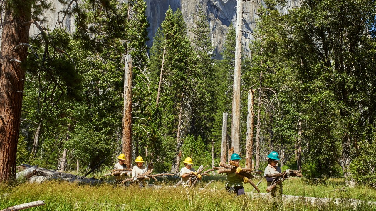 Preserving Yosemite National Park (Source: Apple)