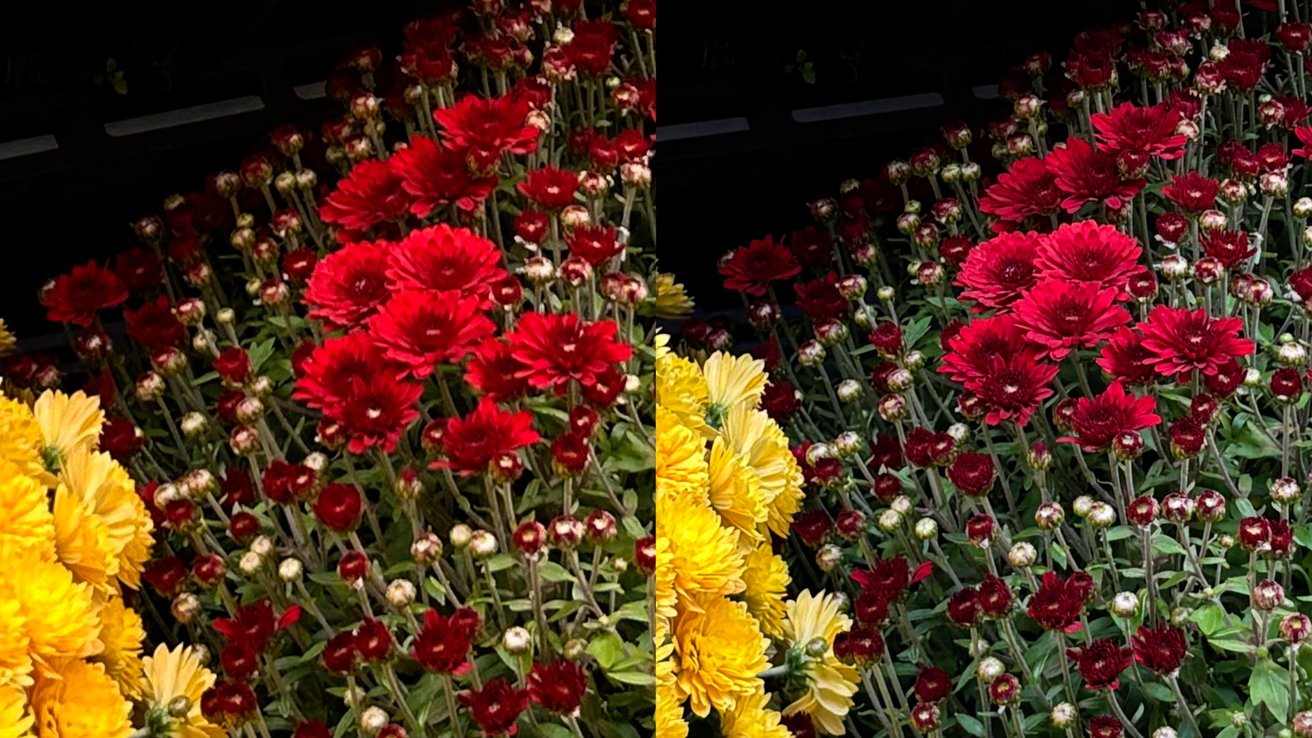 iPhone 14 shot (left) lacks the detail of the iPhone 15 shot (right)