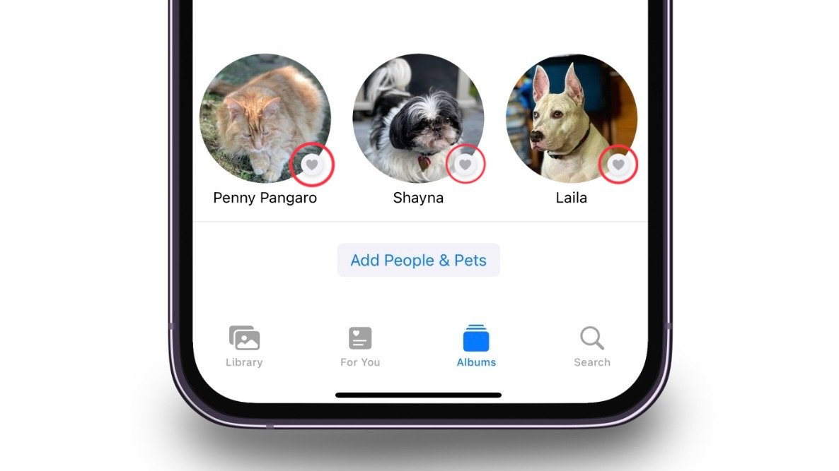 Pinning your pets to the top of the page