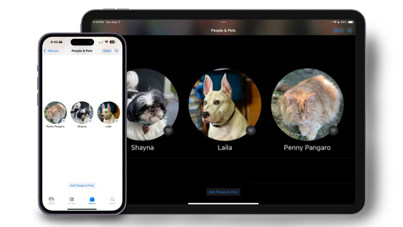 photo of How to tag pets in Photos in iOS 17 image