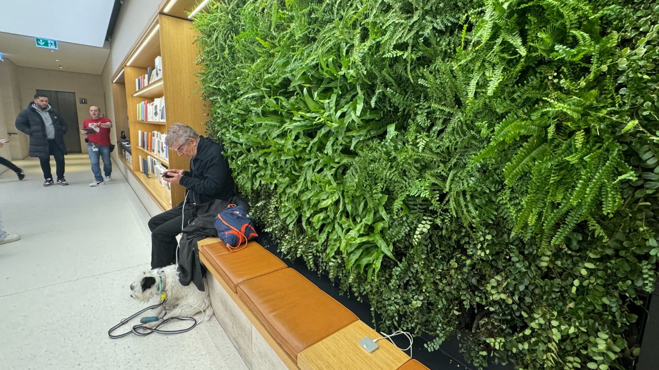 Person sitting on bench using phone, service dog beside them, indoor vertical garden wall in background, other individuals walking by.