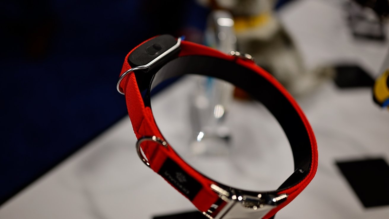 Invoxia's Minitailz collar on a stand