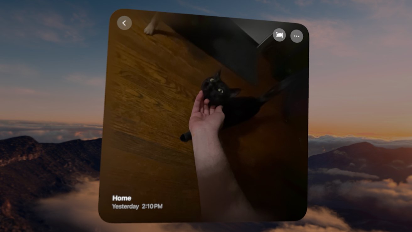 The photos app window is floating just over a Mountain View in immersive mode, a photo shows a hand petting a black cat