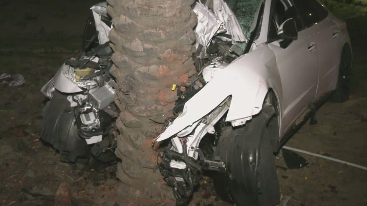 A severely damaged white car wrapped around a palm tree at night.
