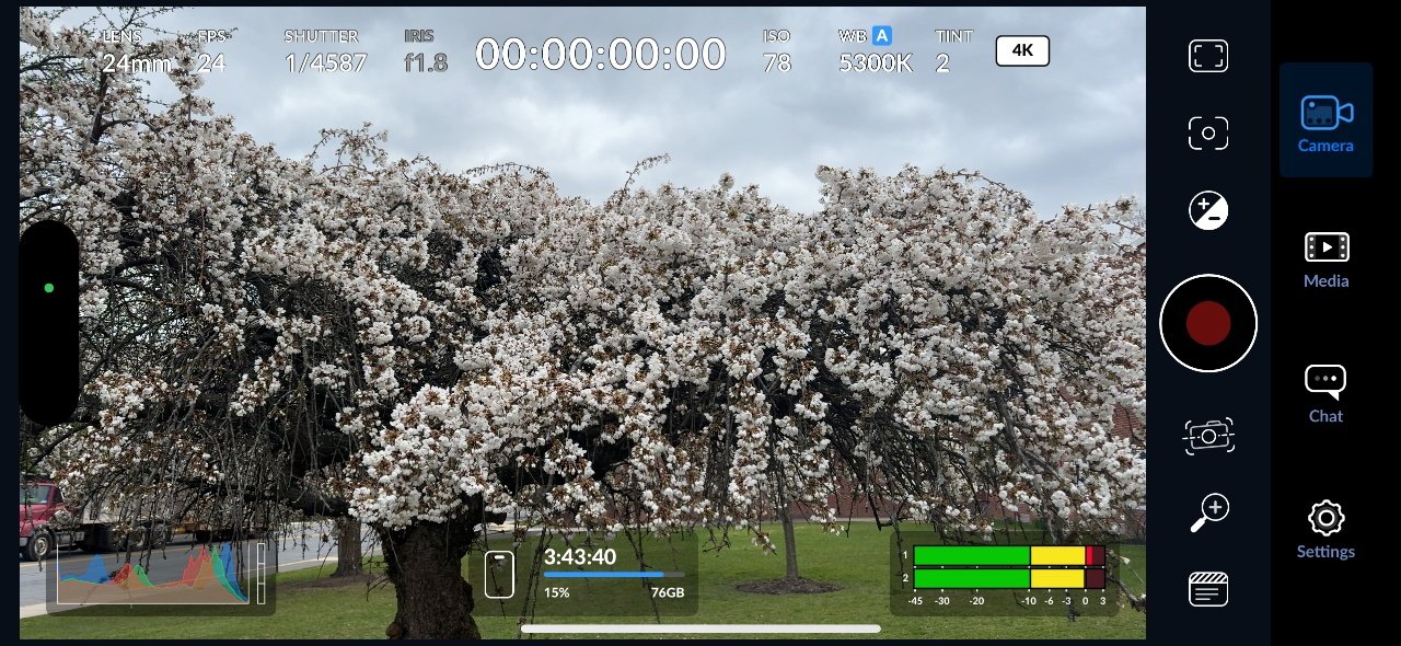 A cherry blossom tree in bloom within a camera viewfinder interface, indicating photography or video recording settings.