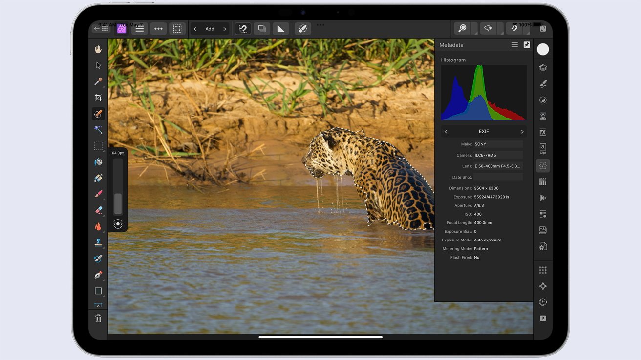 A leopard wades through water near a grassy bank, displayed on an iPad screen with photo editing software interface visible.