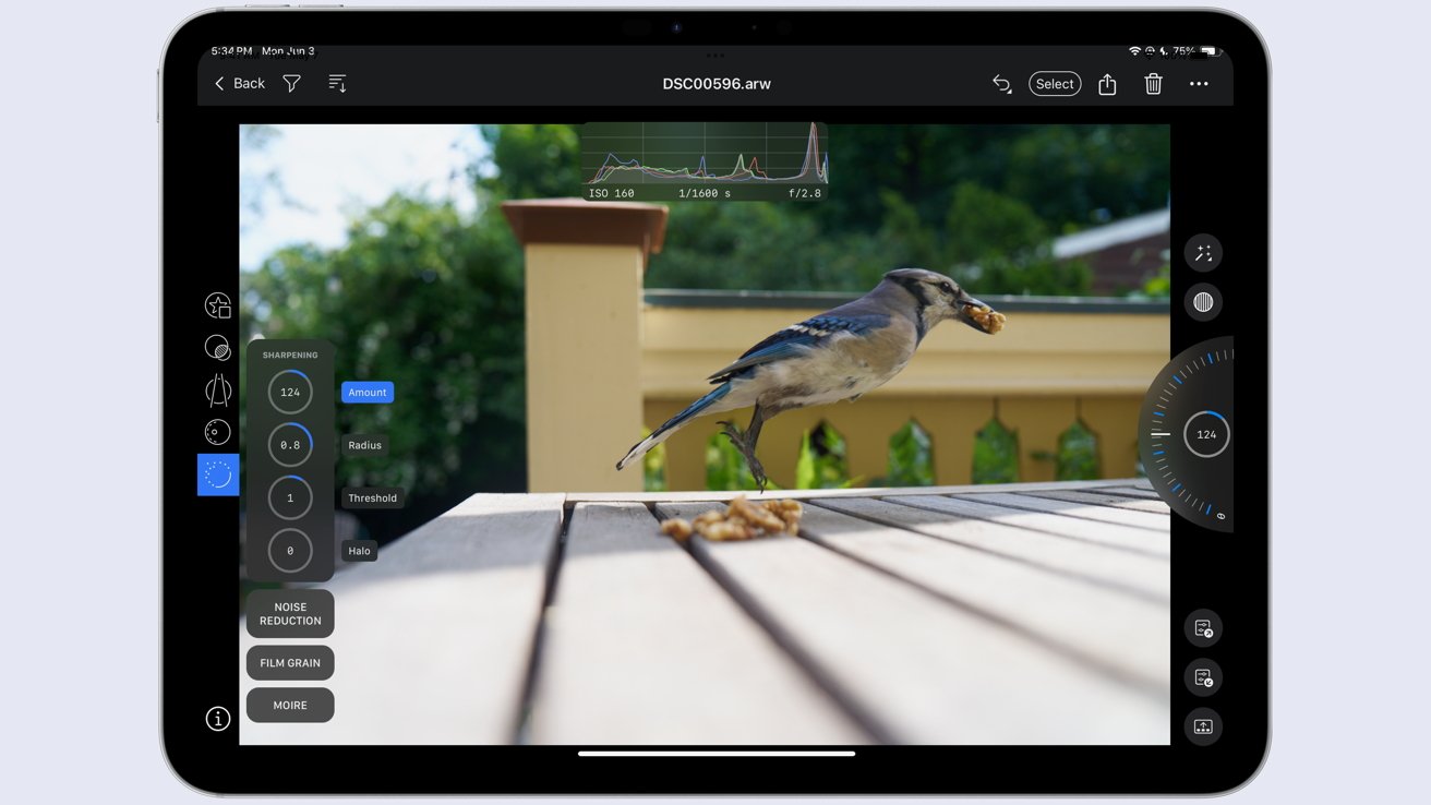 Blue jay holding a walnut leaps from a wooden table, with a yellow railing and green trees in the background, displayed on a tablet screen with image editing tools visible.