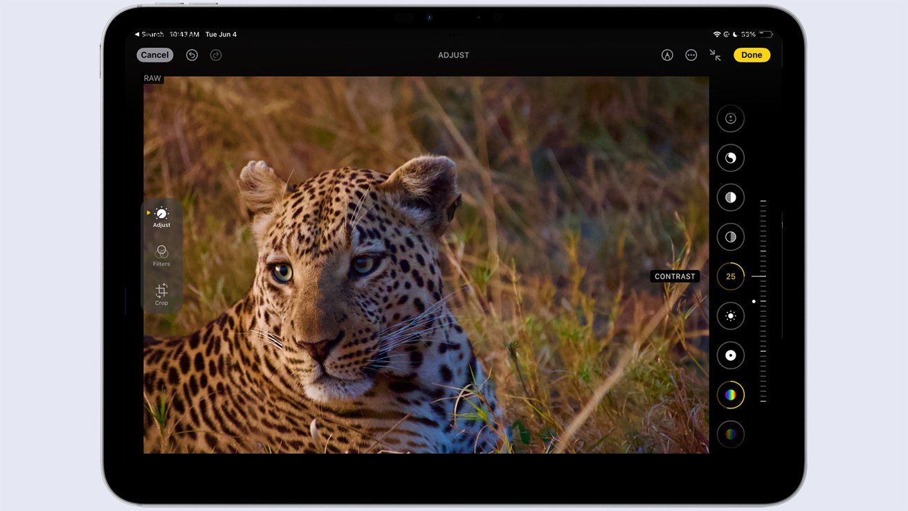 iPad screen displaying a leopard lying in the grass, part of a photo editing software interface with adjustment tools on the right.