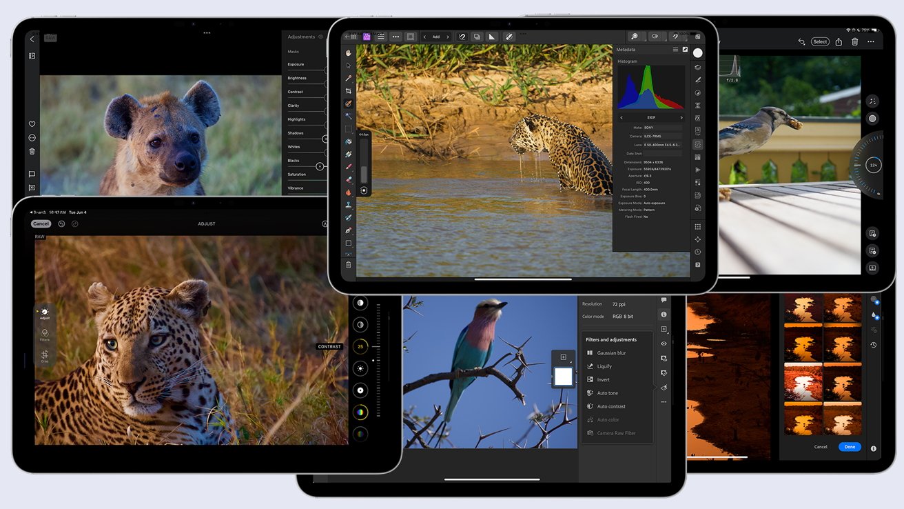 Five iPads display various wildlife photos of hyenas, leopards, and birds with editing software open, showcasing different adjustments and filters on each screen.