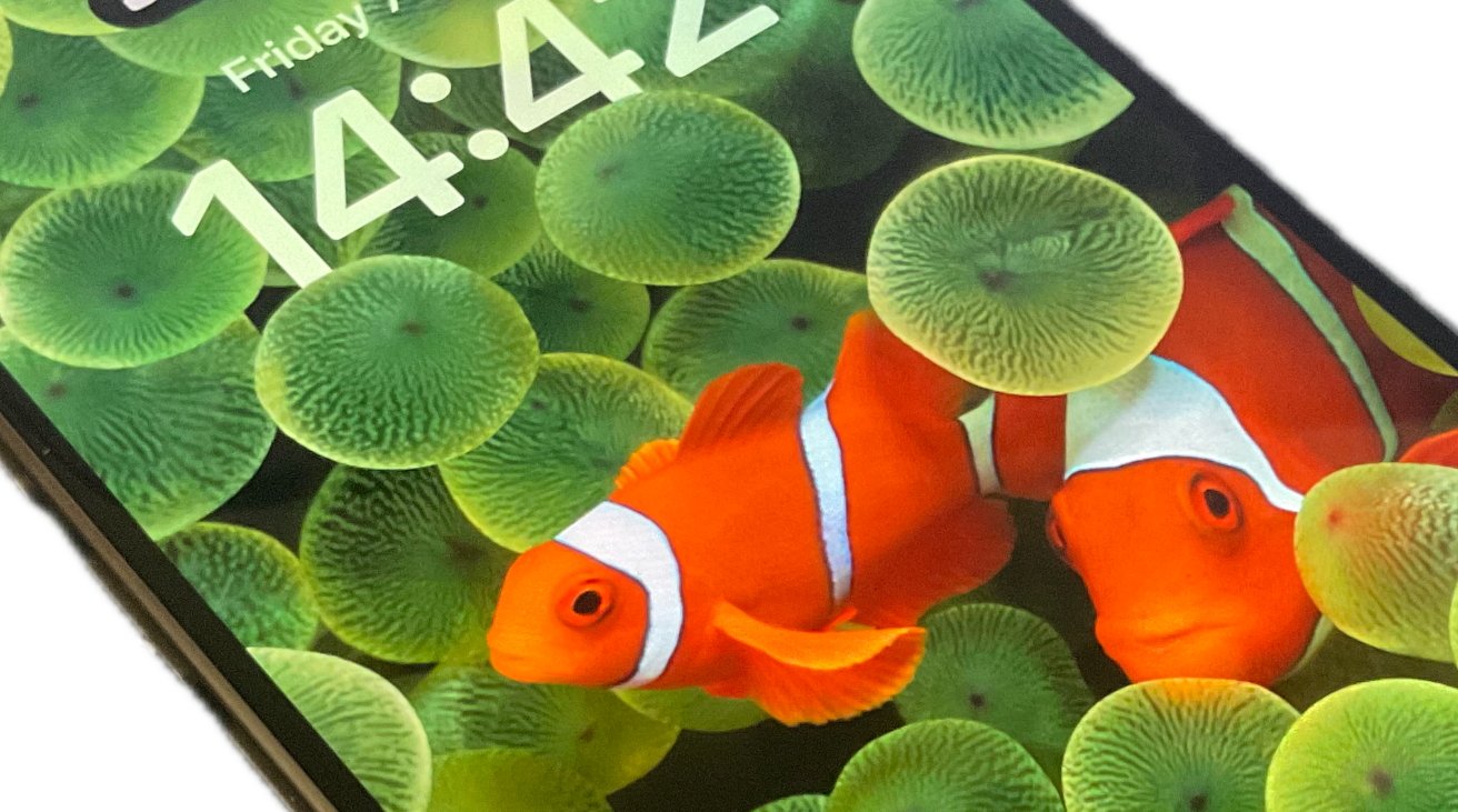 Close up of an iPhone showing a wallpaper image with clownfish in the sea