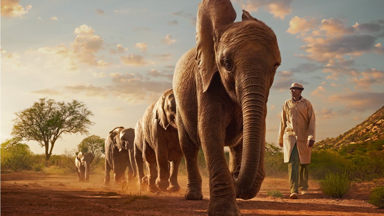 Man walking alongside a line of elephants on a dusty path, with a tree and hills in the background under a partly cloudy sky.