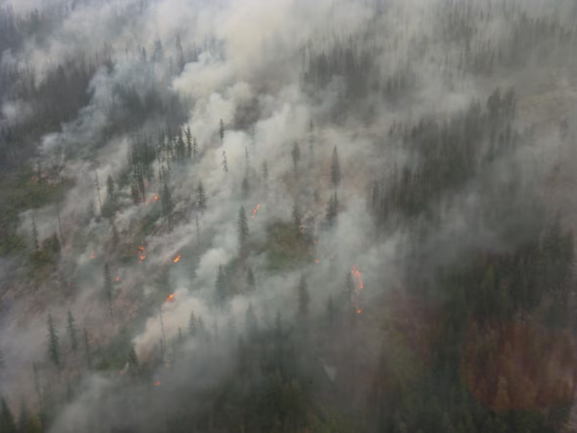 Aerial view of a forest fire with trees enveloped in thick smoke and scattered flames.