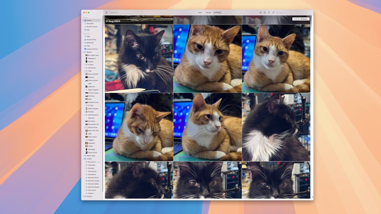 Grid of cat photos in photo library app; two cats: one black and white, one orange and white, both resting by a laptop.