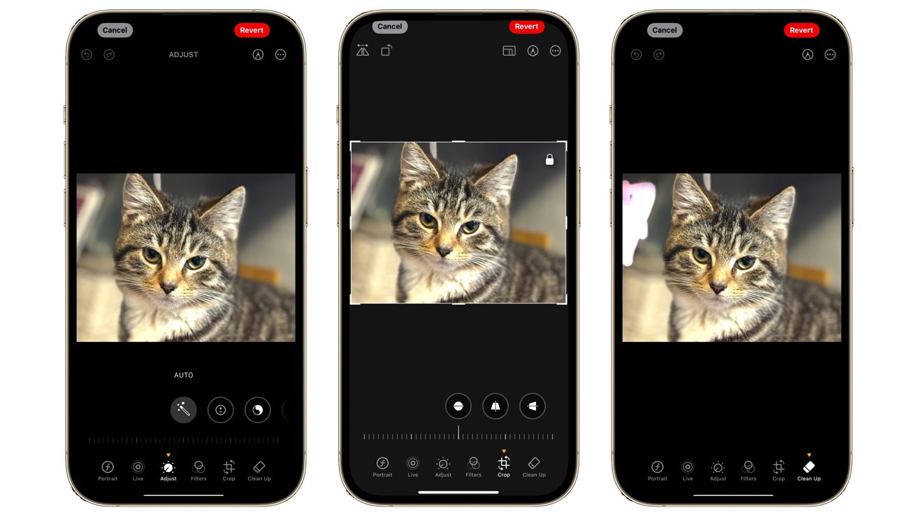 Three smartphones display a tabby cat photo editing screen, showcasing adjustment, cropping, and cleanup tools.