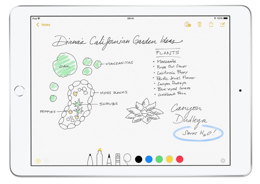 Drawing of a garden plan with plant names and sketches, including oak, manzanitas, moss rocks, and poppies, on a tablet screen. Colors include green, yellow, black, blue and red.