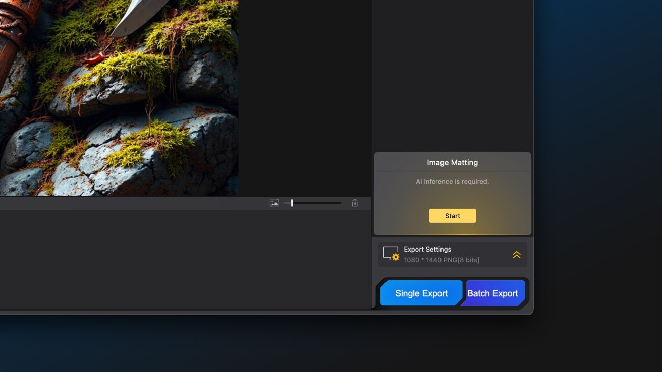 A software interface displaying image editing options, including image matting with a start button, and export settings featuring single and batch export buttons. Rocks and moss are partially visible.