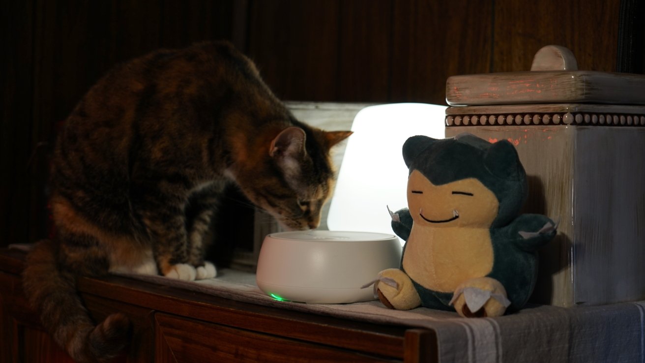 A cat drinks from a bowl beside a plush toy and a glowing lamp on a wooden surface.