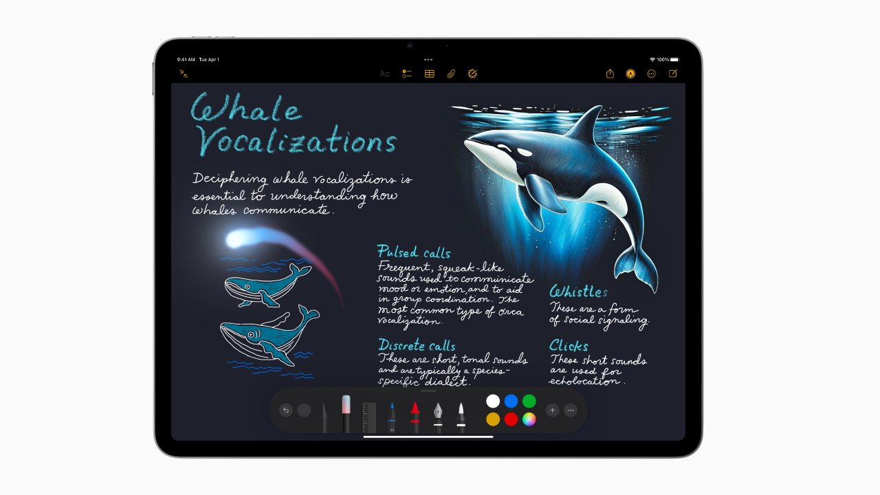 Tablet screen displaying a digital note titled 'Whale Vocalizations' with illustrations of whales, discussing types of whale sounds like pulsed calls, whistles, discrete calls, and clicks.