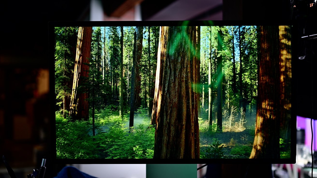 A vibrant forest scene on a screen, displaying tall trees, lush greenery, and dappled sunlight filtering through branches.