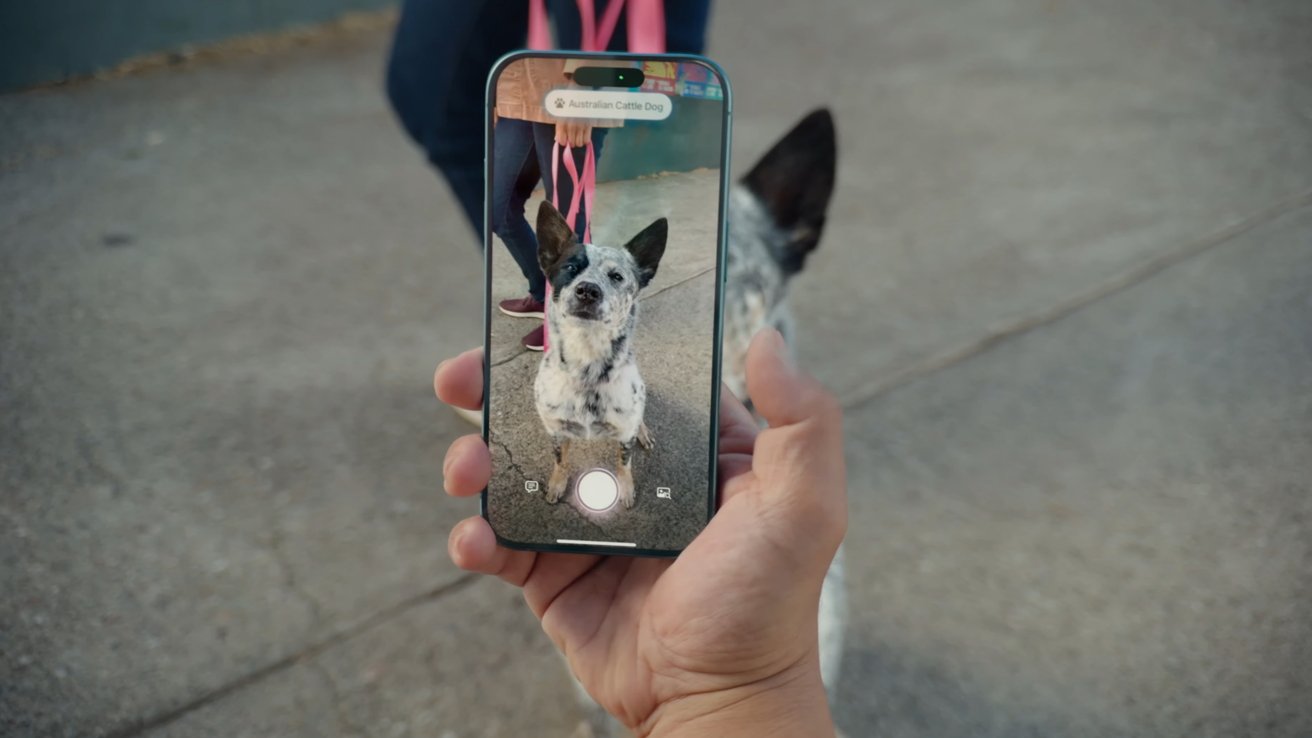 Person holds smartphone displaying a small dog with pointy ears, captured in real-time. The dog is on a leash, standing on a sidewalk.