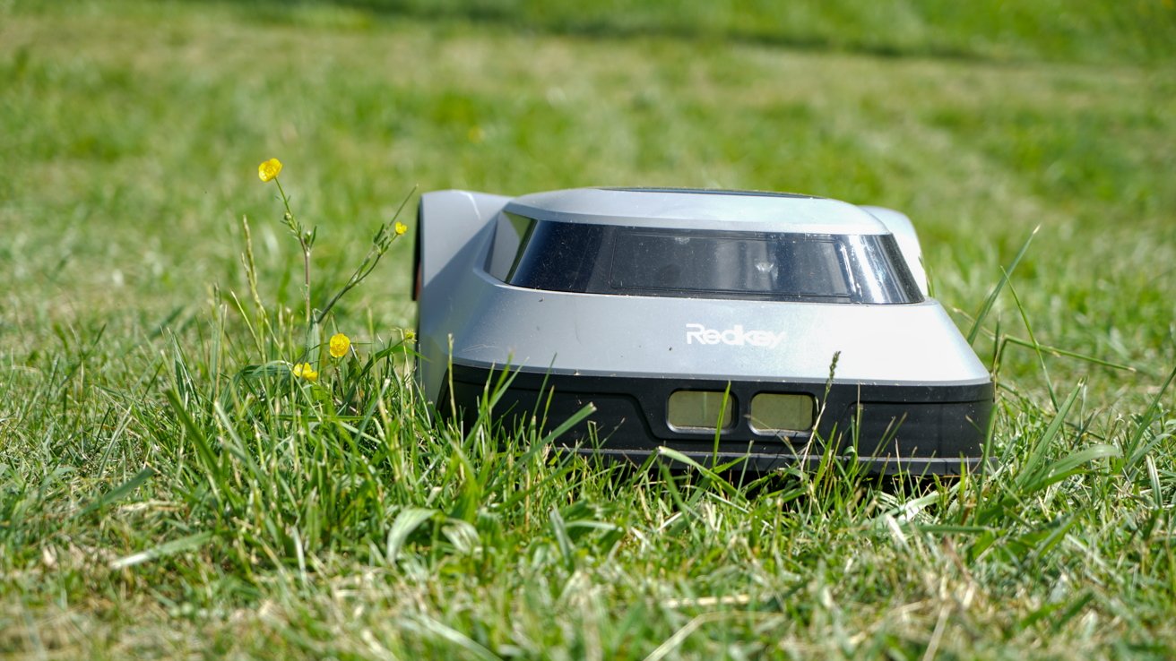 Robotic lawn mower on green grass with small yellow flowers, under bright sunlight.
