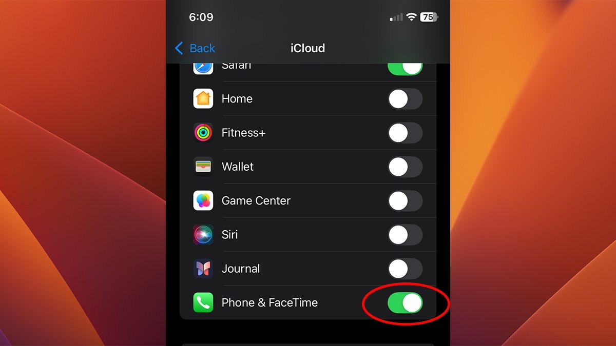 In iOS 18 one Settings switch turns on both phone and FaceTime iCloud alert sharing.