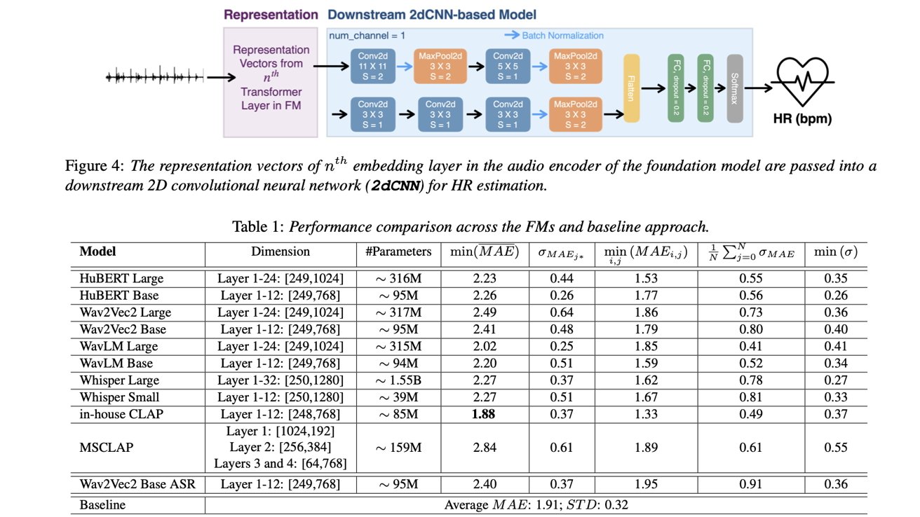 Diagram of a neural network architecture for heart rate estimation with a performance comparison table of models showing dimensions, parameters, and errors.