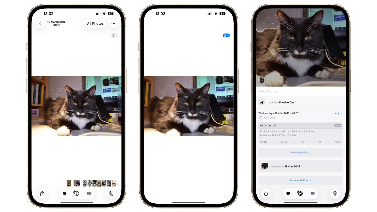 A fluffy black and white cat lies on a desk with books and computer screens in the background, displayed on three smartphone screens.