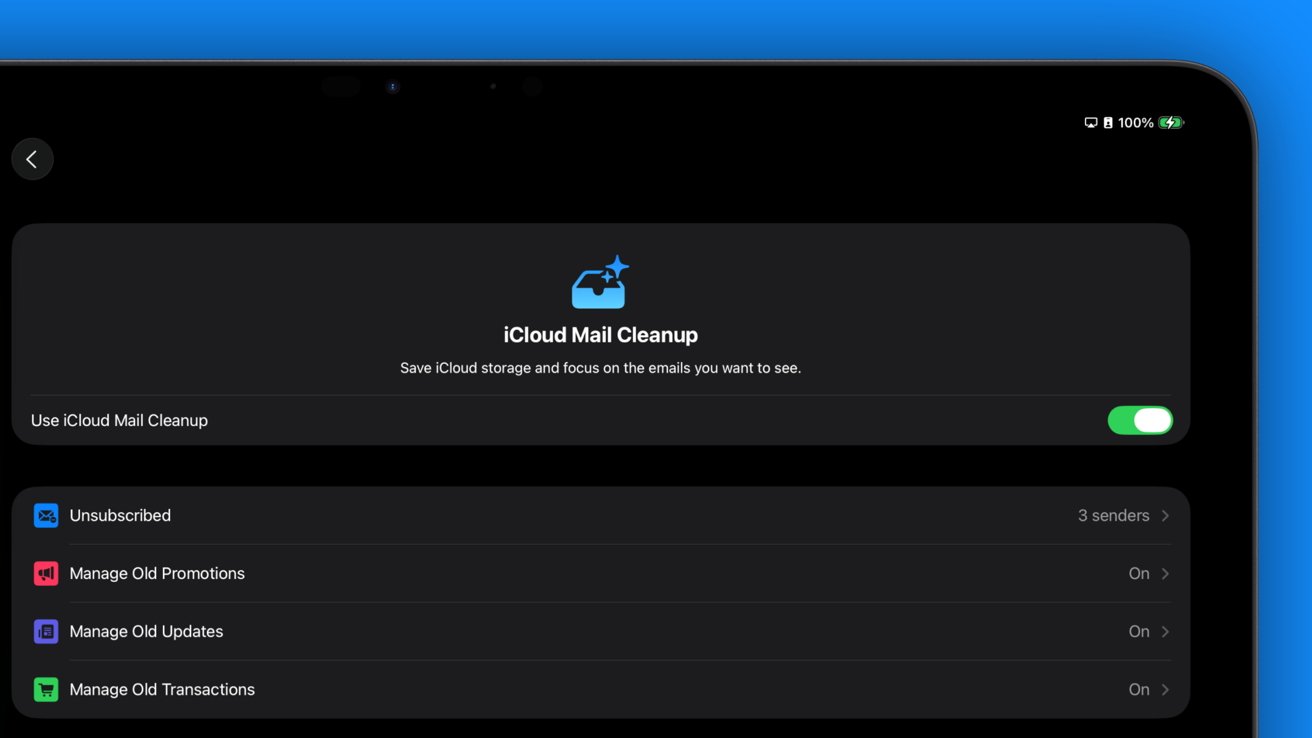 iCloud Mail Cleanup settings screen showing options to manage old promotions, updates, and transactions. Feature is toggled on.